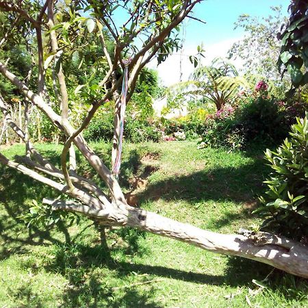 Fairy Hostel Nuwara Eliya Luaran gambar