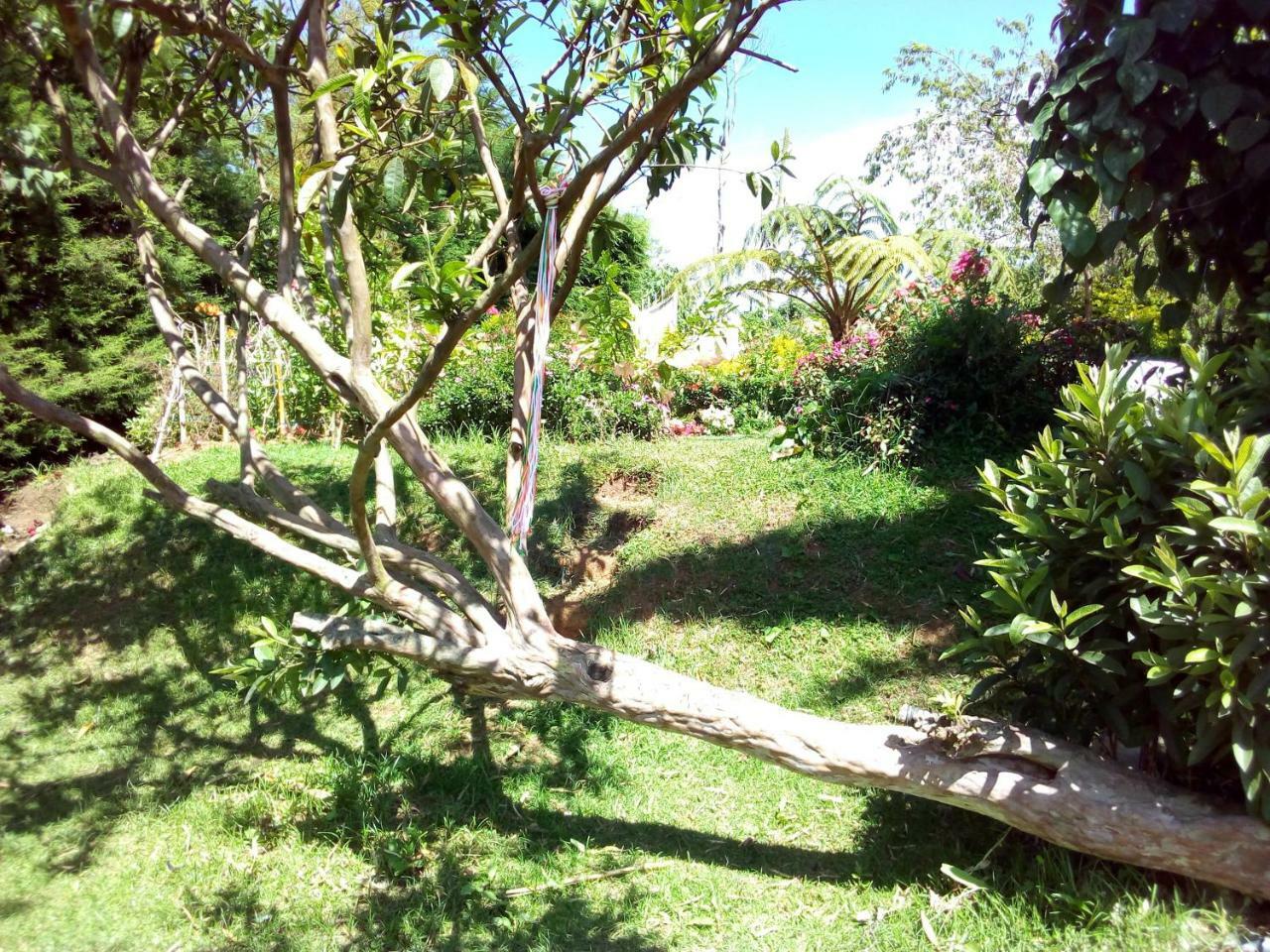 Fairy Hostel Nuwara Eliya Luaran gambar